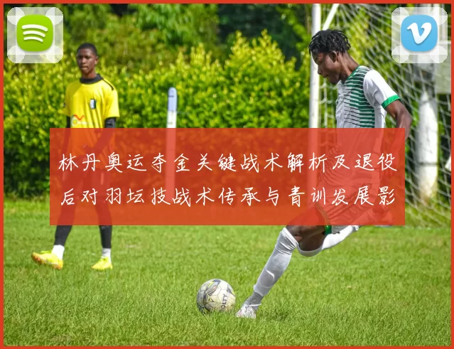 林丹奥运夺金关键战术解析及退役后对羽坛技战术传承与青训发展影响
