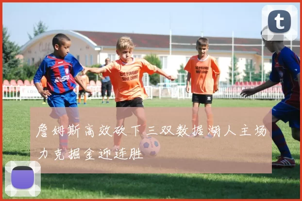 詹姆斯高效砍下三双数据湖人主场力克掘金迎连胜