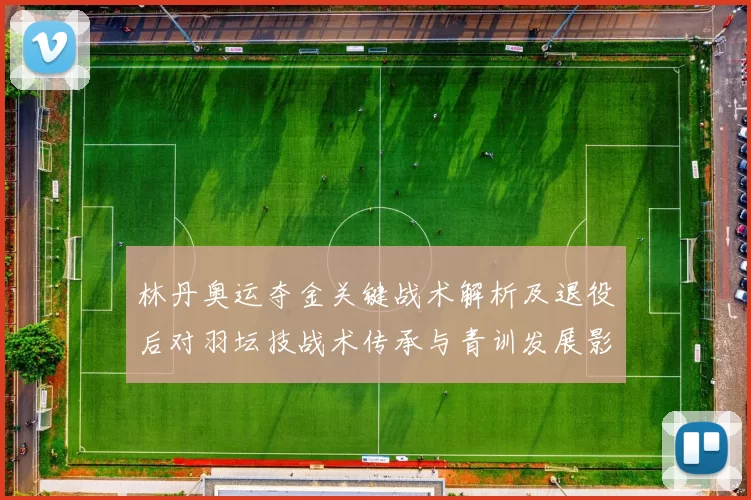 林丹奥运夺金关键战术解析及退役后对羽坛技战术传承与青训发展影响