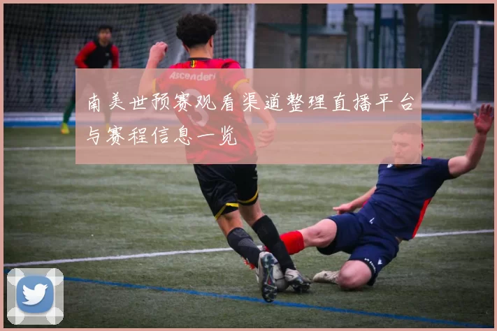 南美世预赛观看渠道整理直播平台与赛程信息一览